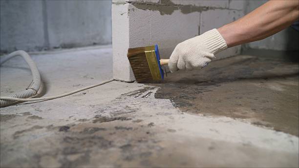 SJ Waterproofing Pros Waterproofing coverage map for Carrollton, MI and surrounding area